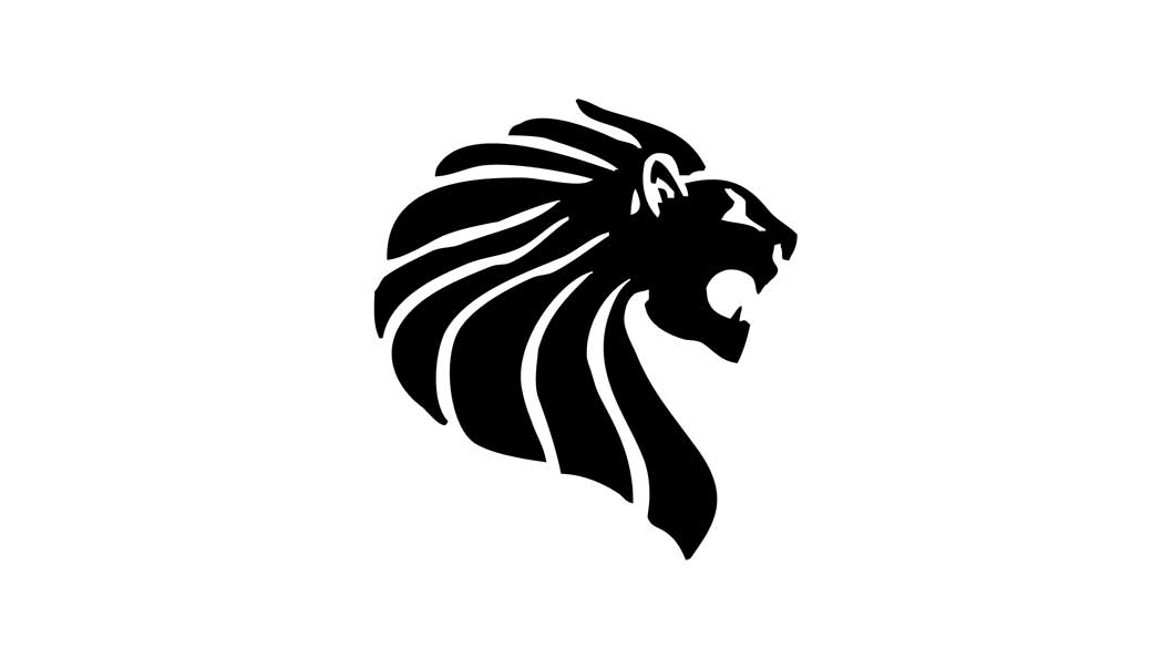 Discover all Collection